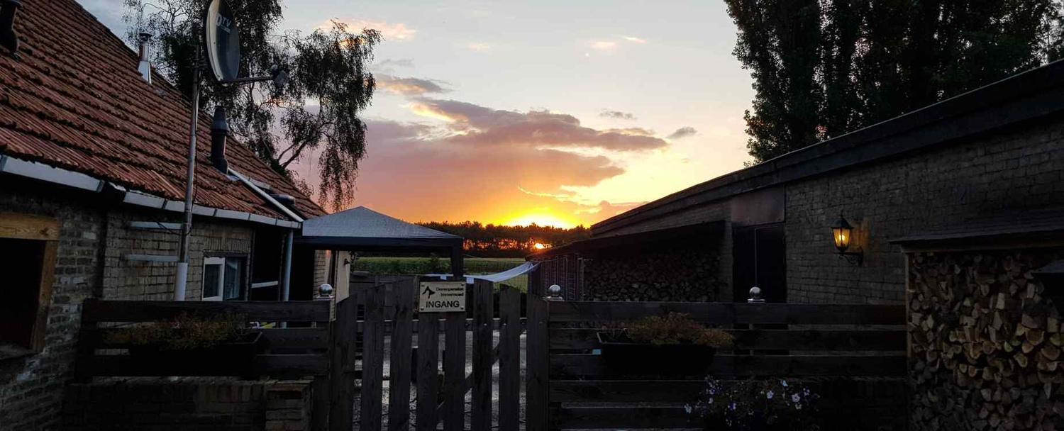 Het erf van Dierenpension Immermoed bij zonsondergang, met het toegangshek en het bordje Ingang